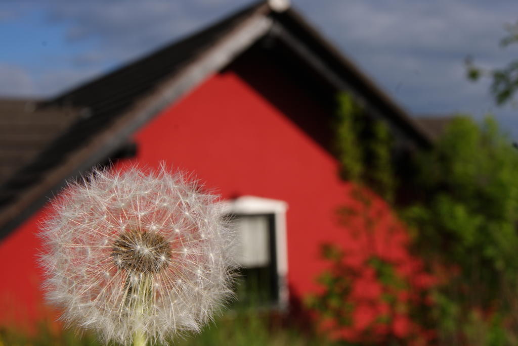 Landhotel Berggaststaette Bickenriede Anrode ภายนอก รูปภาพ